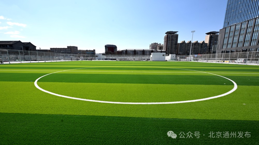 篮球每周训练计划怎么写的_2